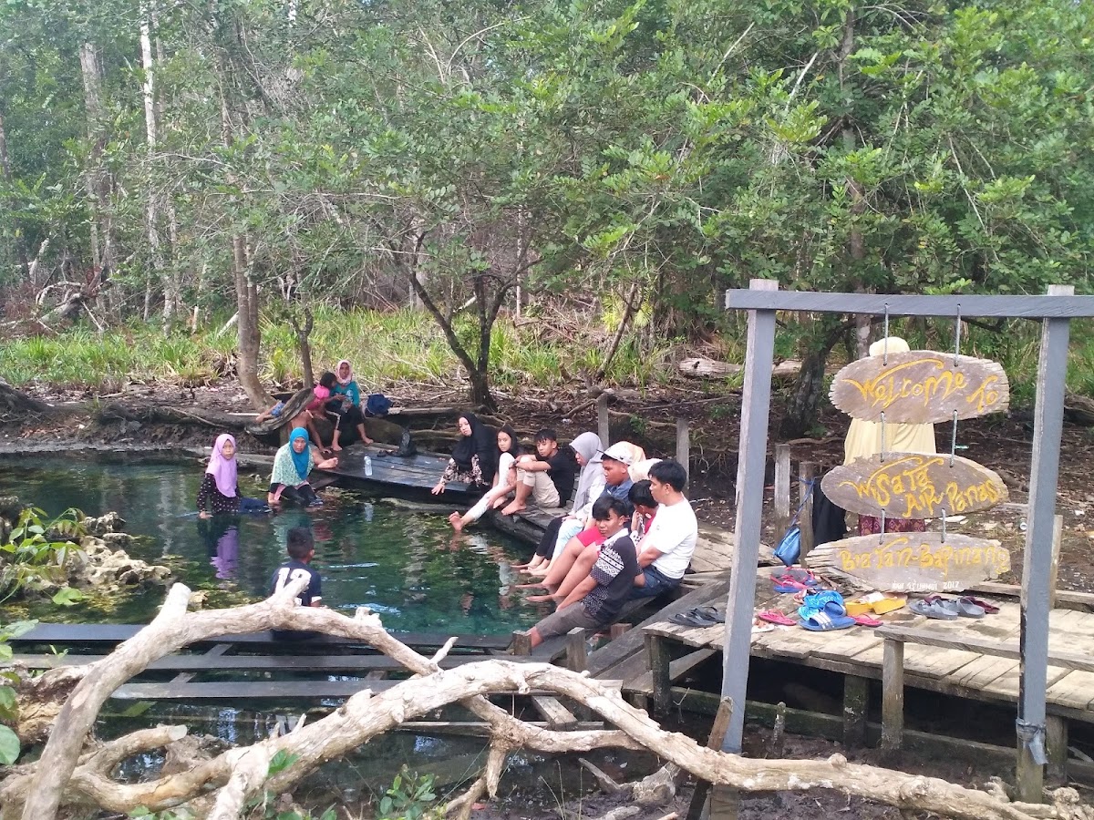 Pemandian Air Panas Biatan