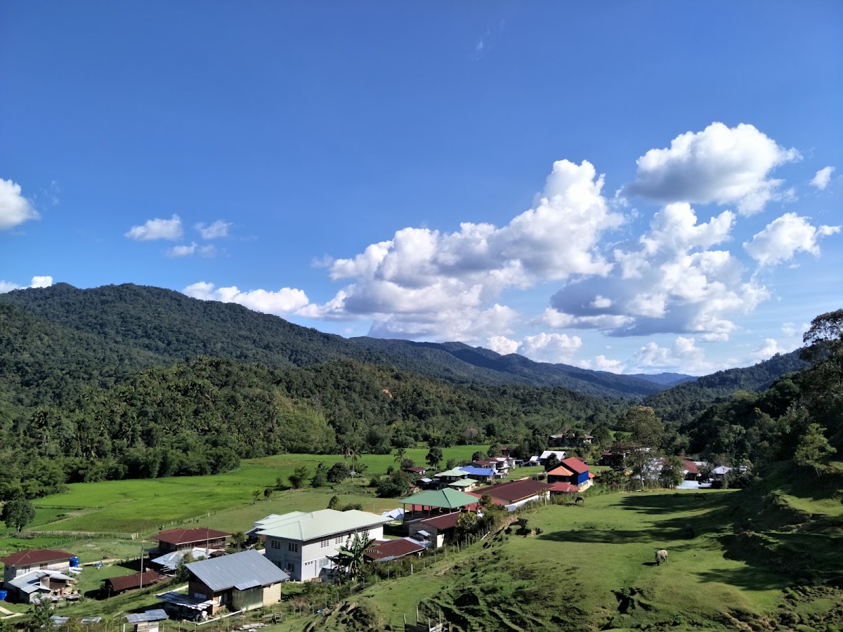 Taman Nasional Kayan Mentarang