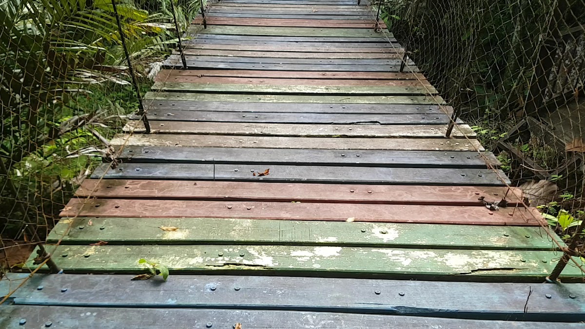Wisata Air Terjun Karungan