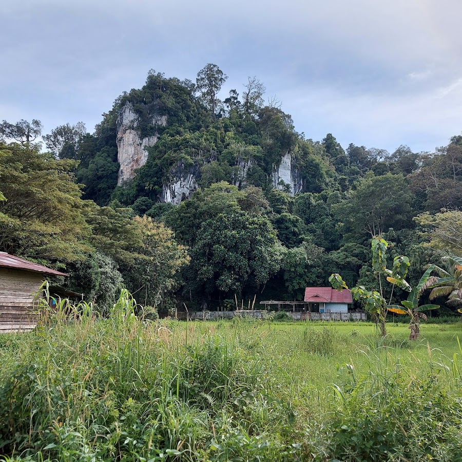 Wisata Gunung Putih