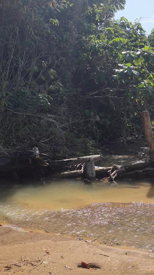 Air terjun jempulon