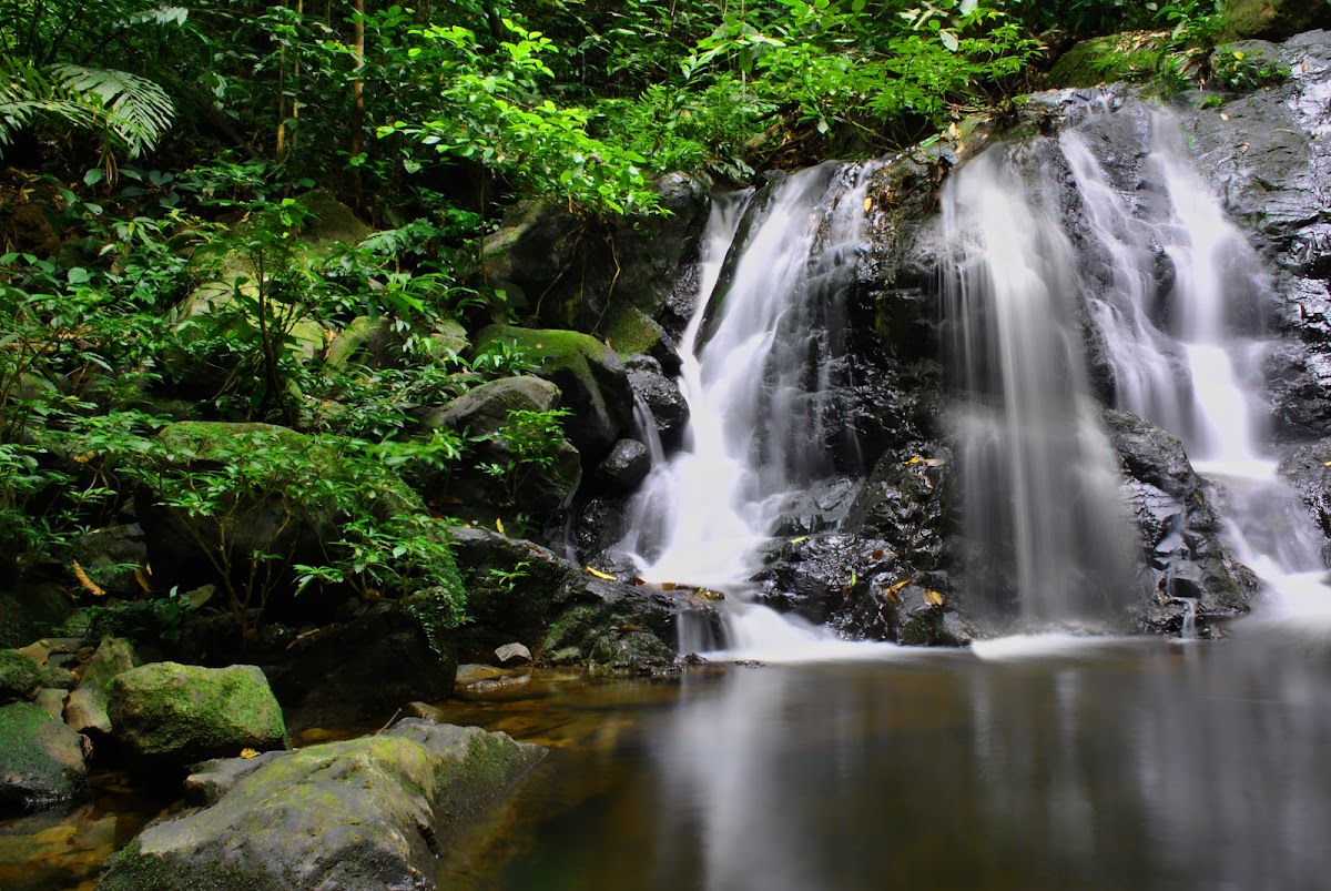 Gunung Rian