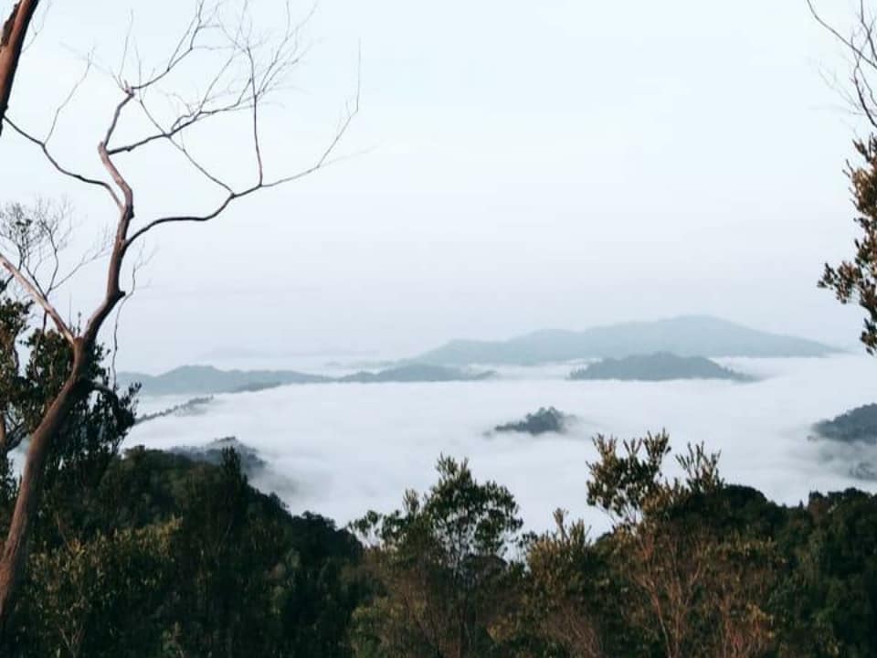 Gunung Rego