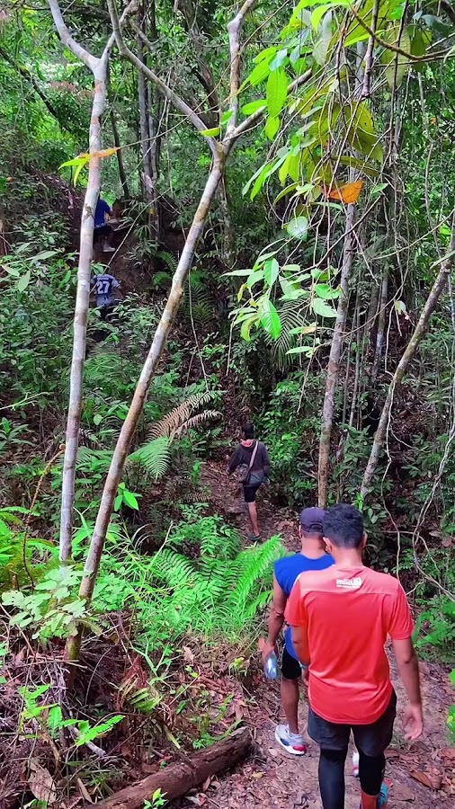 Pendakian Bukit Mas