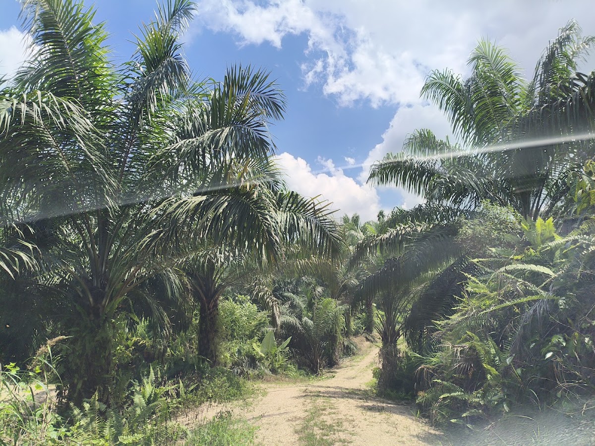Wisata Air Panas Apan