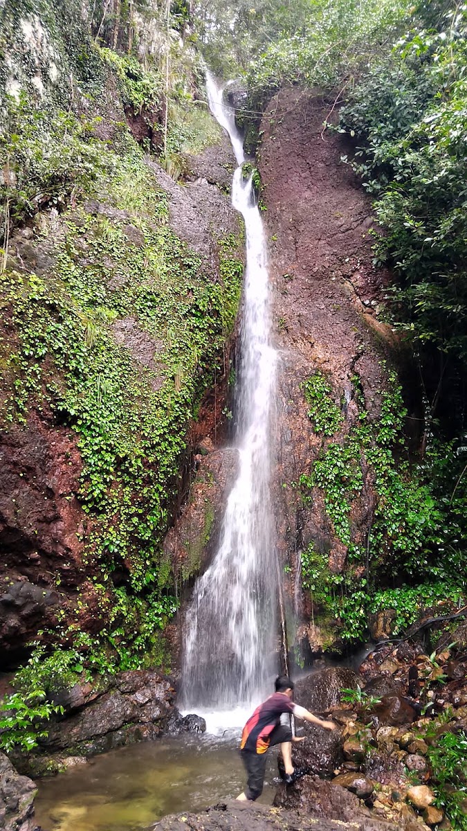 Aur Terjun Manjang Putih