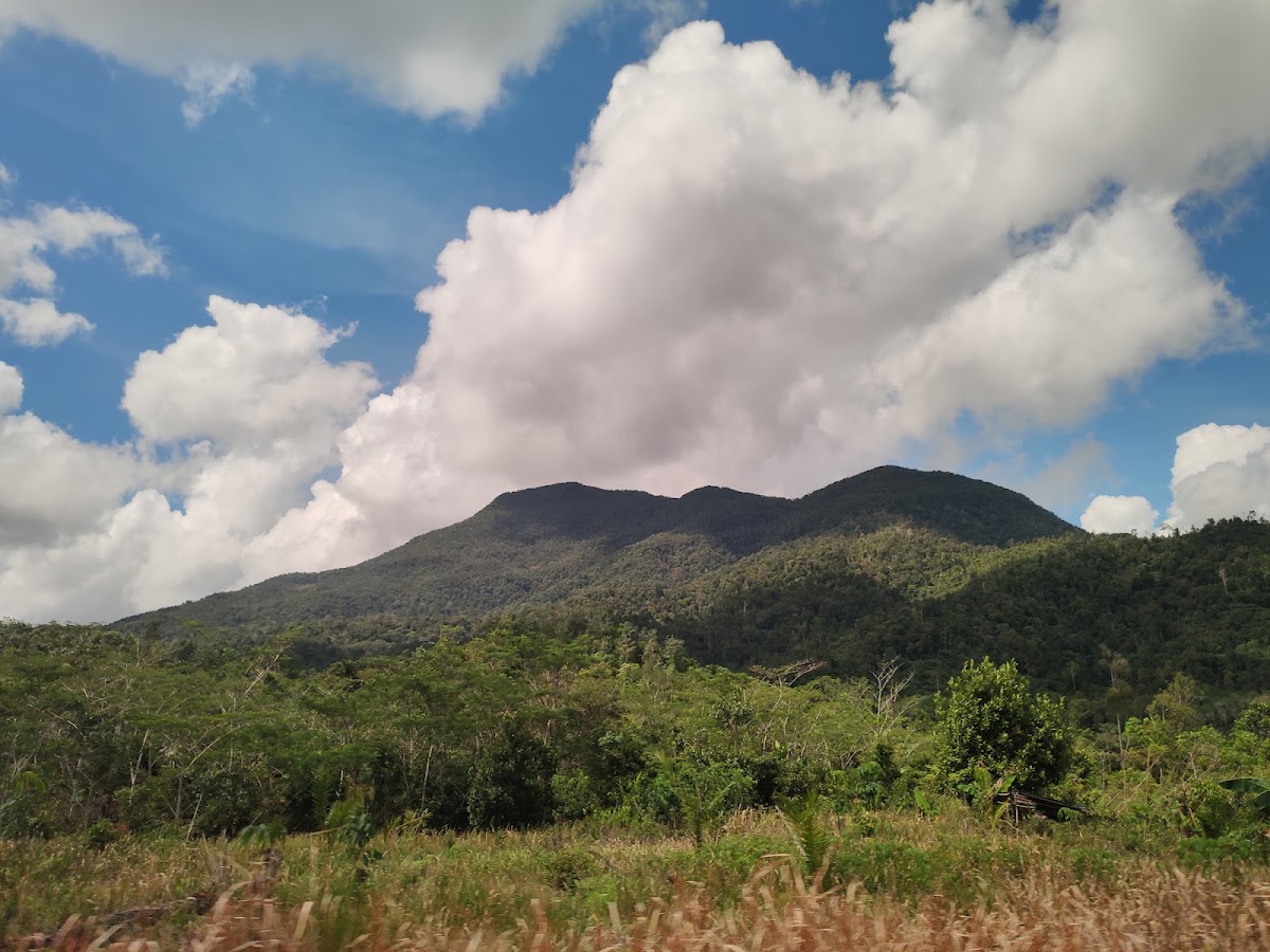 Gunung Maras