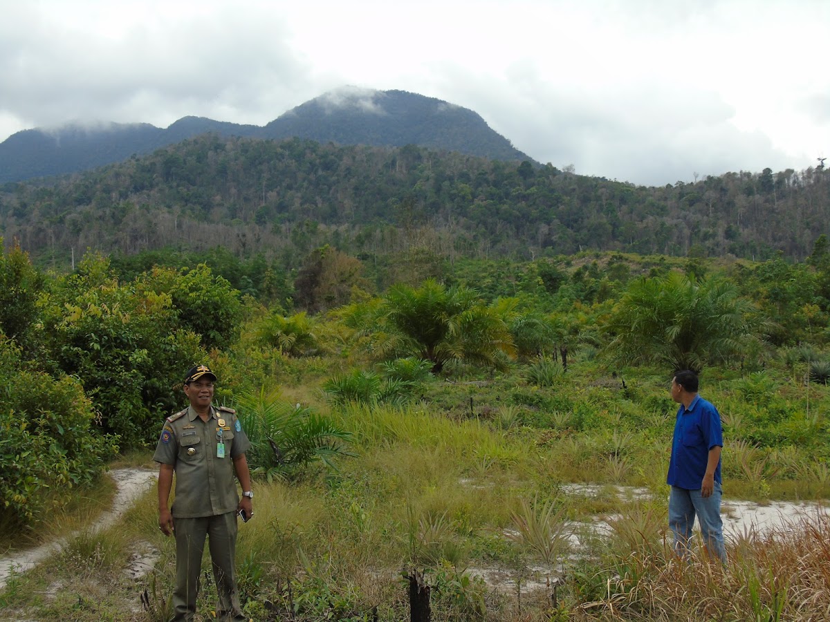 Gunung