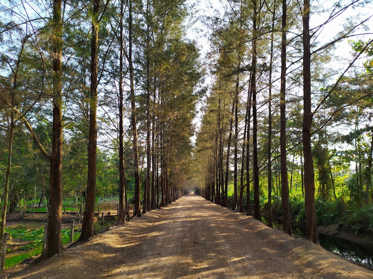 Bangka Botanical Garden