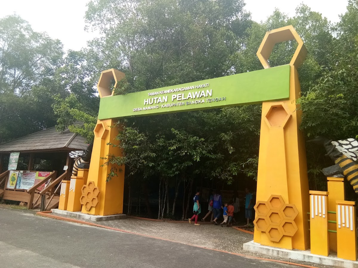 Hutan Pelawan