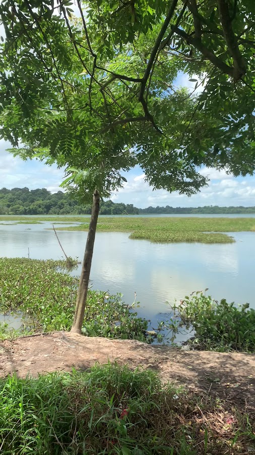 Camping Ground Piayu Batam