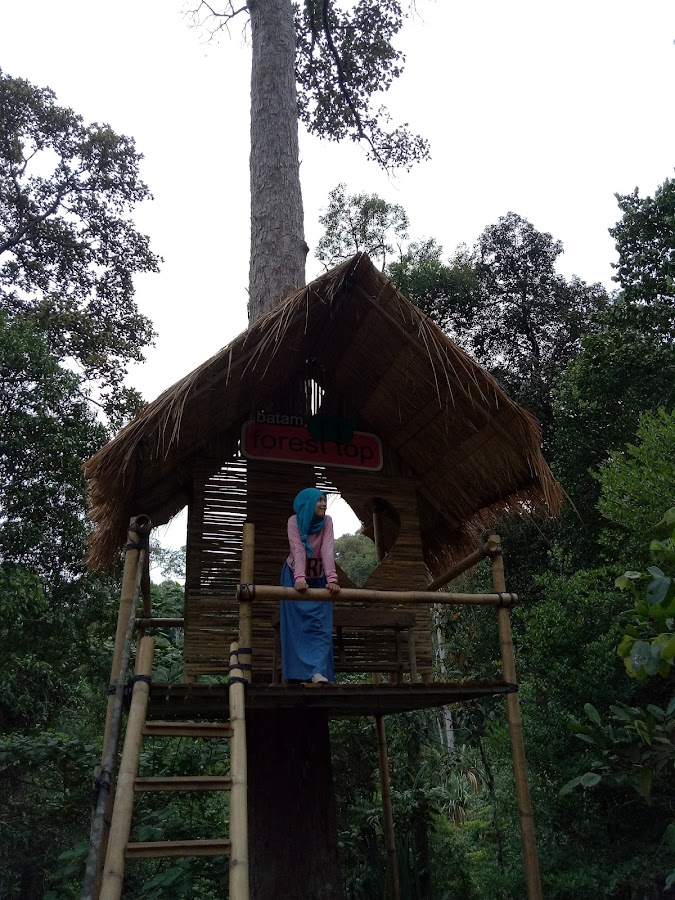 Batam Forest Top