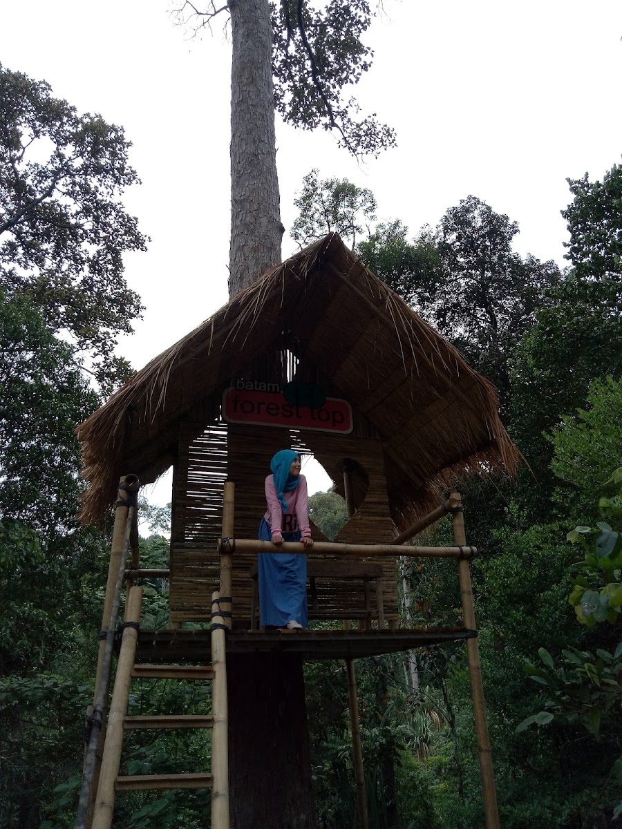 Batam Forest Top