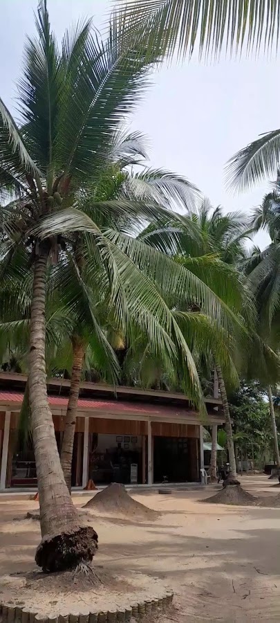 Desa Wisata Kampung Tua Bakau Serip