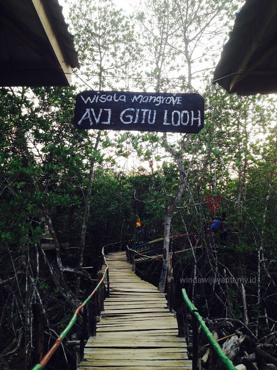 Wisata Alam AVJ Mangrove