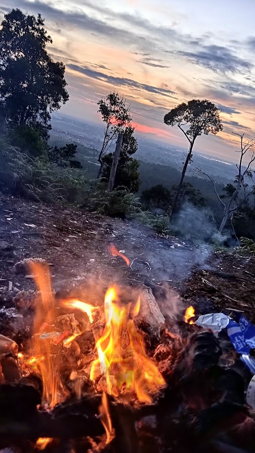 Puncak pelawan