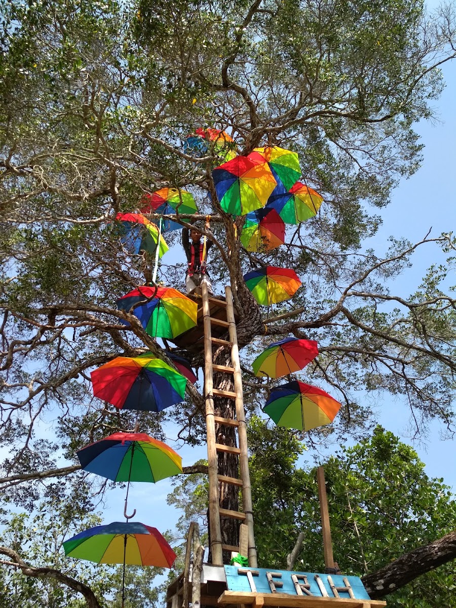 Desa Wisata Kampung Terih