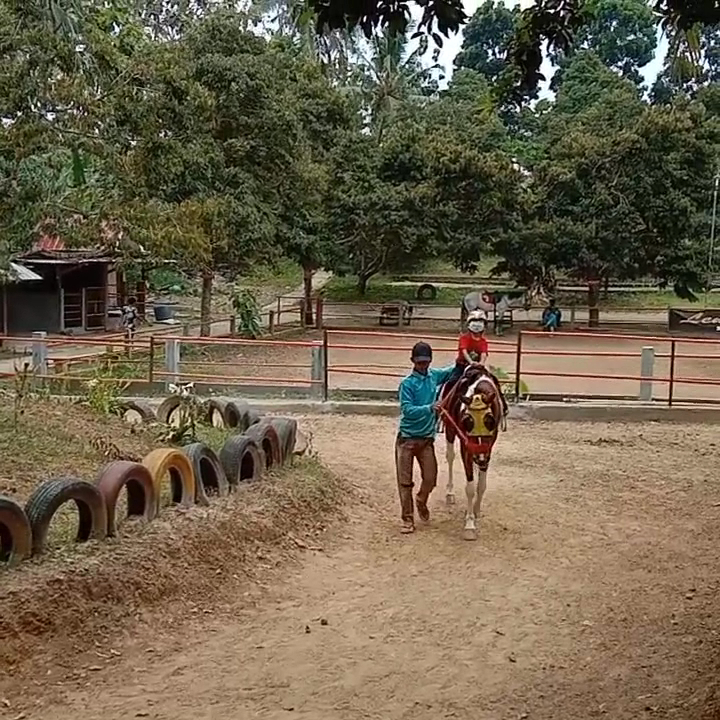 Lembah Durian Farm Stable