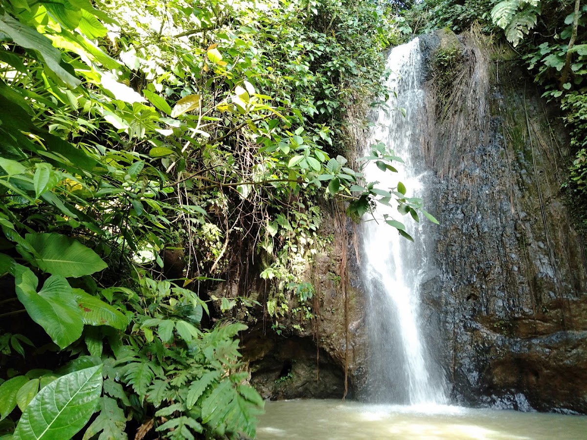 Air Terjun Batu Putu