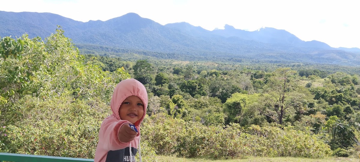 Area camping ground Hutan Pendidikan STIK
