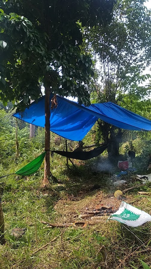 Camping Ground The Raid