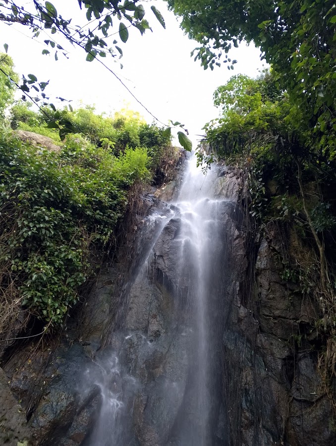 Curug Sawer