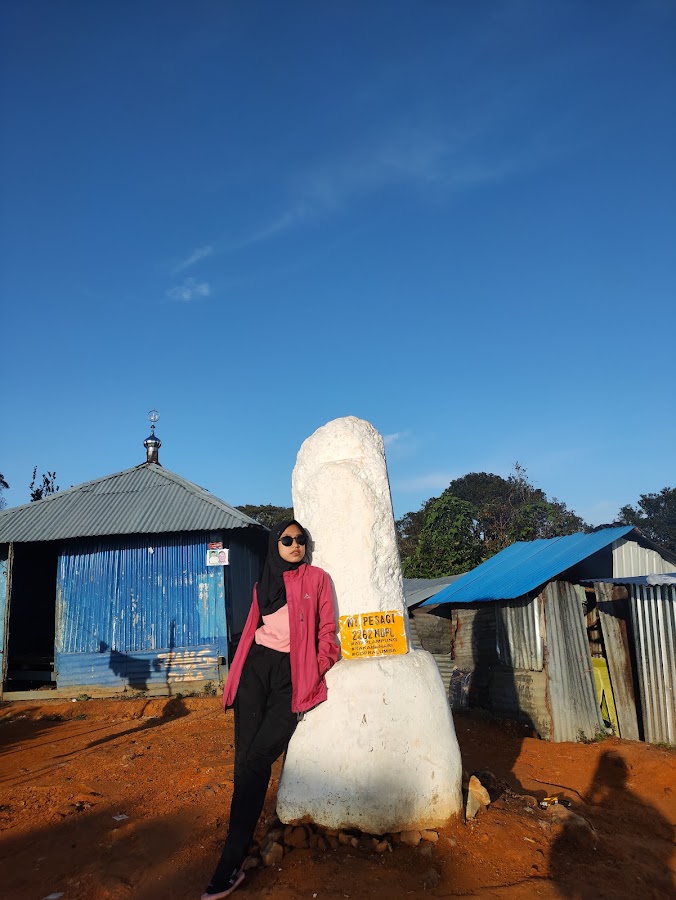 Gunung Pesagi