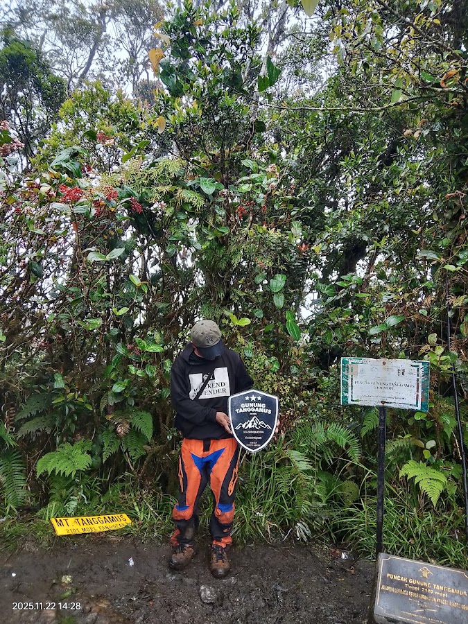 Puncak Gunung Tanggamus