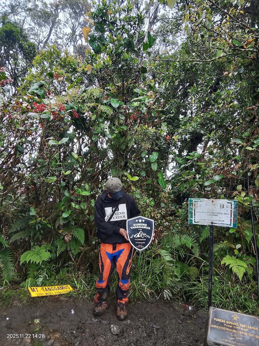 Puncak Gunung Tanggamus