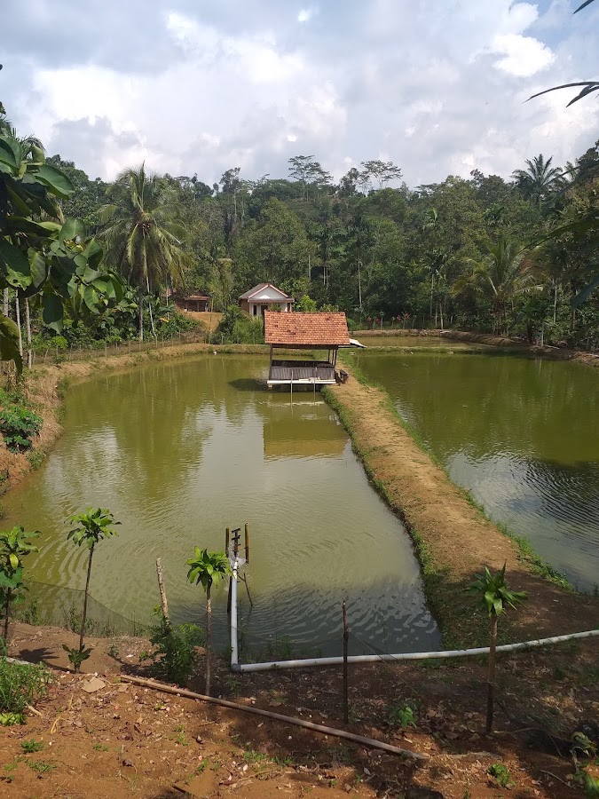 Kolam Outbound