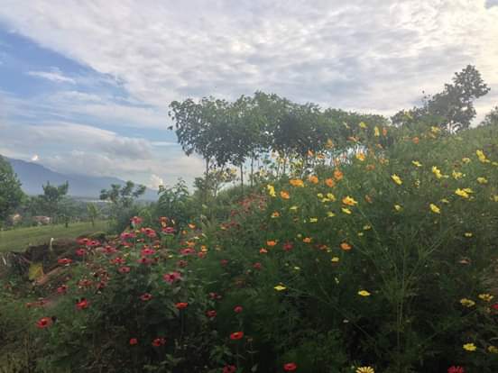 Taman wisata alam dan olah raga ALKAZAM Gunung Sumpit