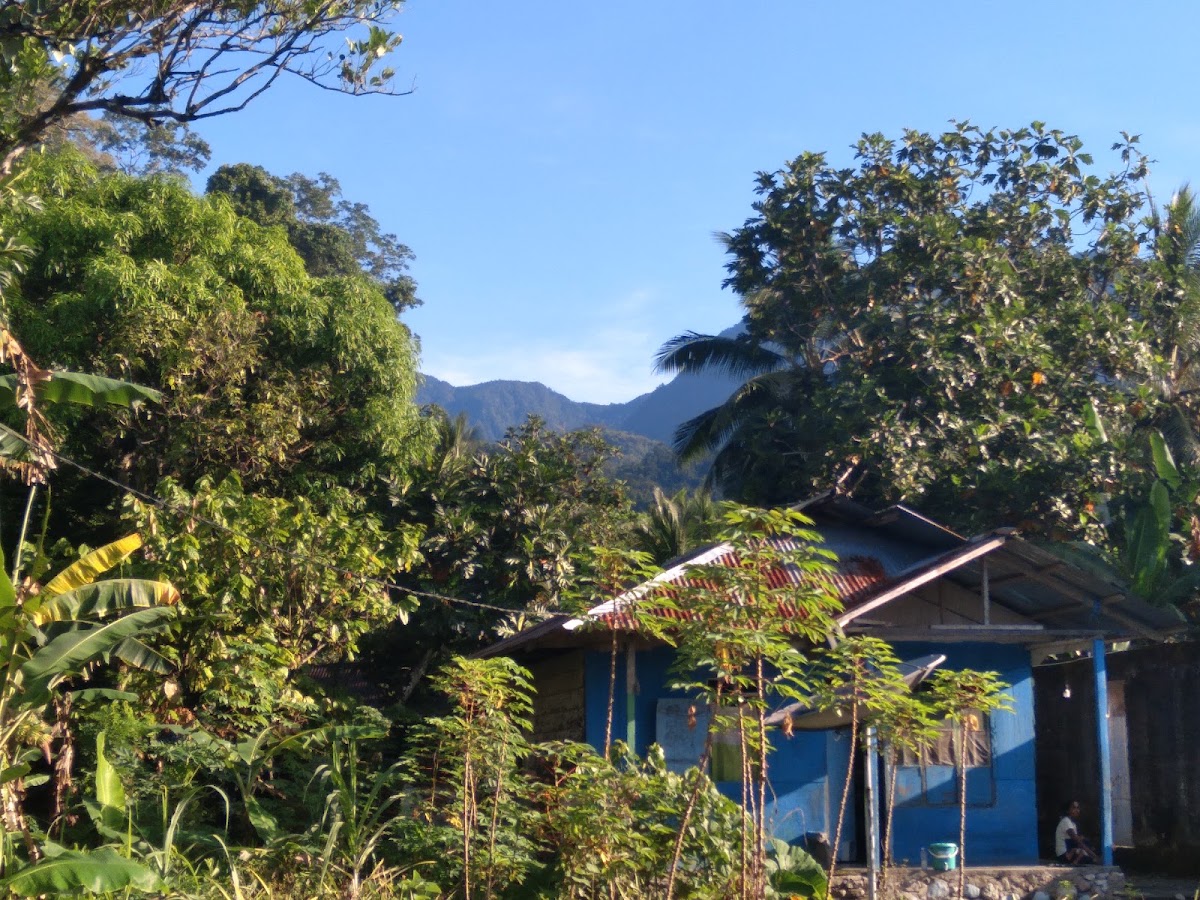 Gurba