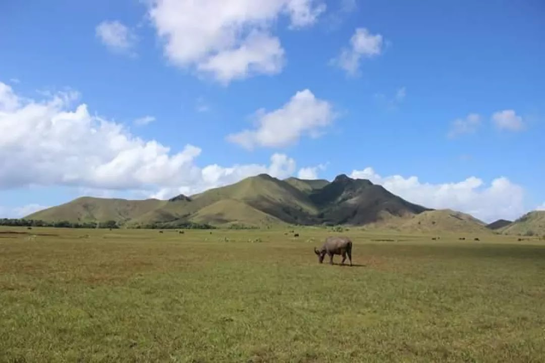Gunung Kerbau