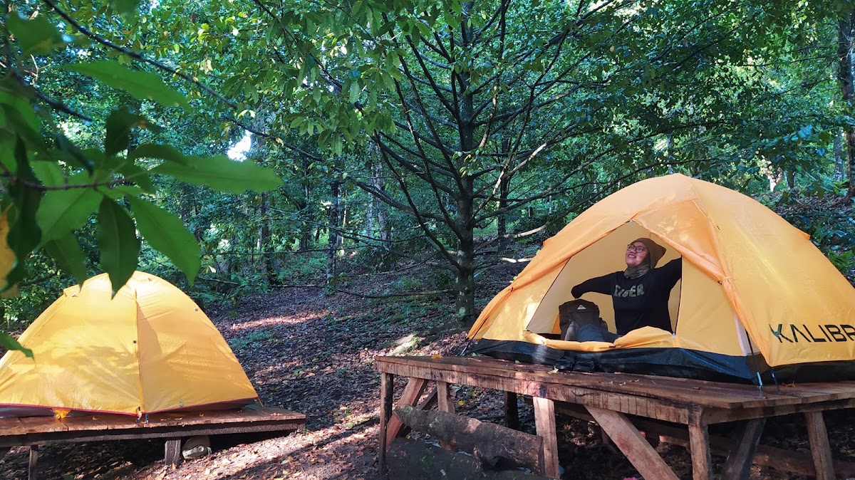 Dayo Camper Village