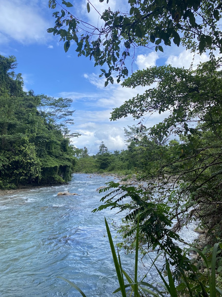 Tebing Makariki