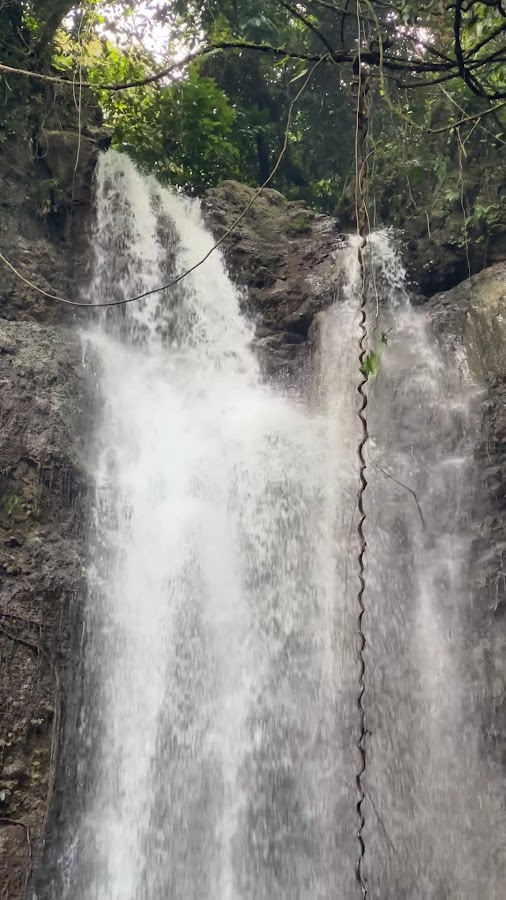 Air Terjun Waitomu