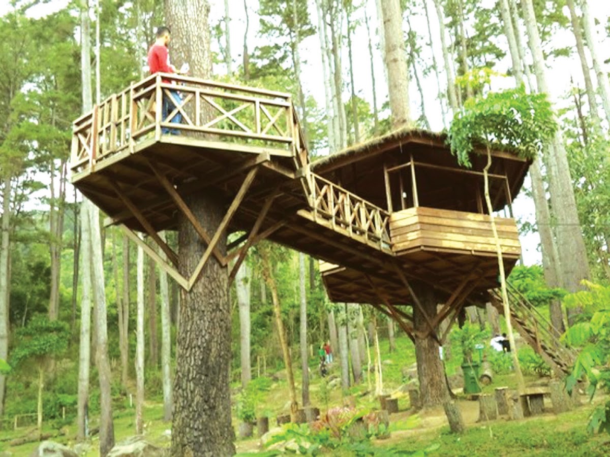 Taman Hutan Raya Pocut Meurah Intan