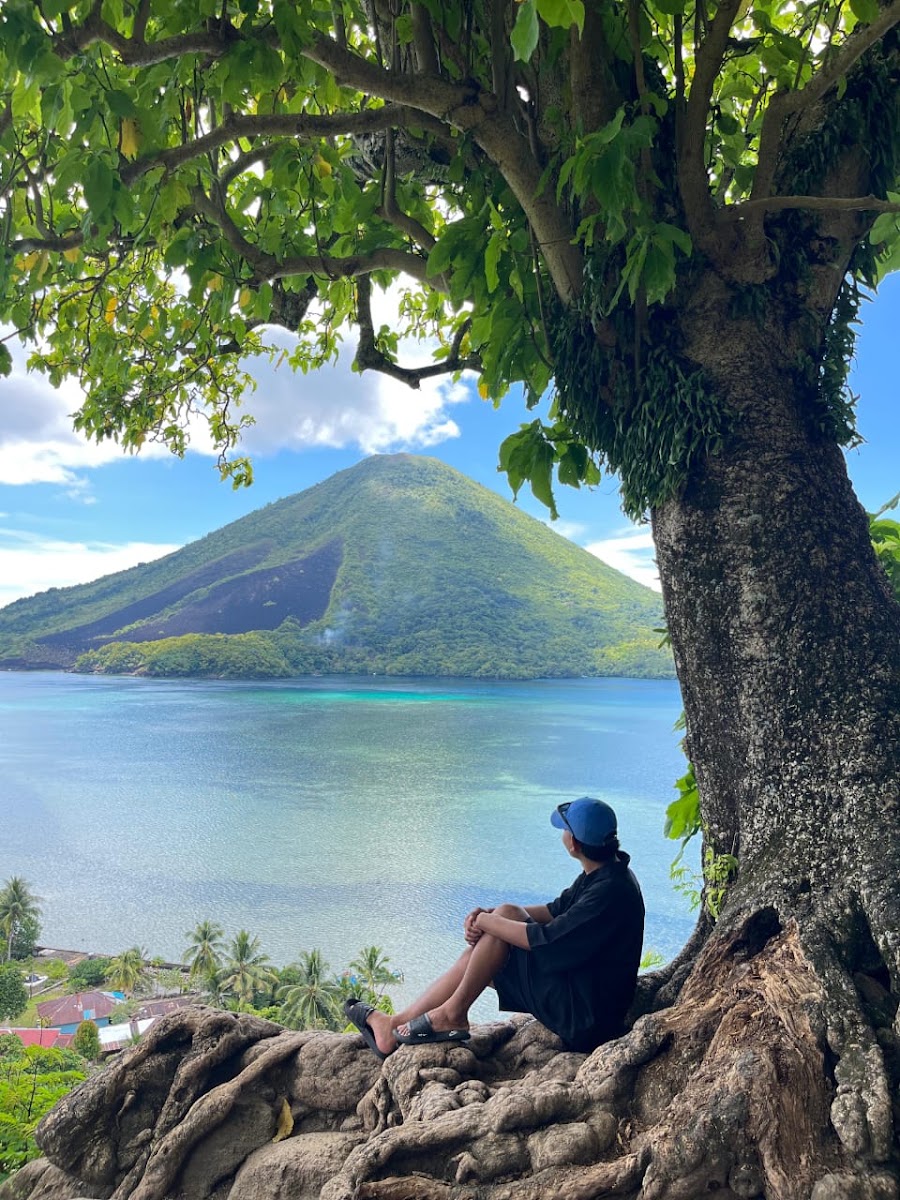 Pohon Sejuta Umat (Pohon Talang)