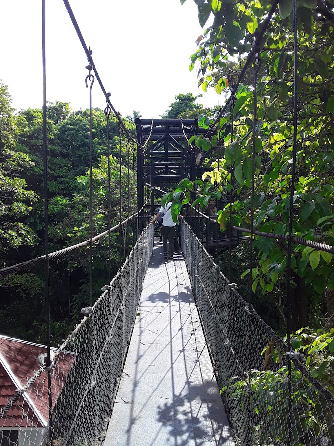 Taman Nasional Aketajawe Lolobata