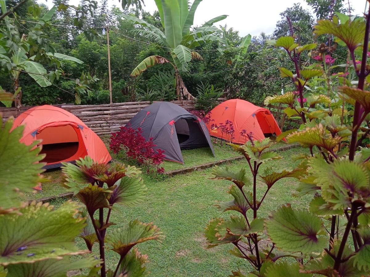 Montong Raden Camping Ground Penimbung