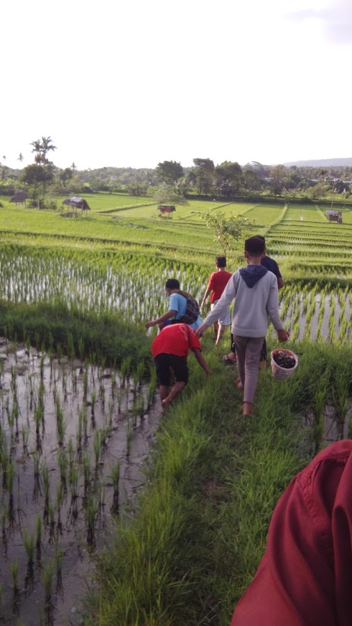 Montong Raden Camping Ground Penimbung