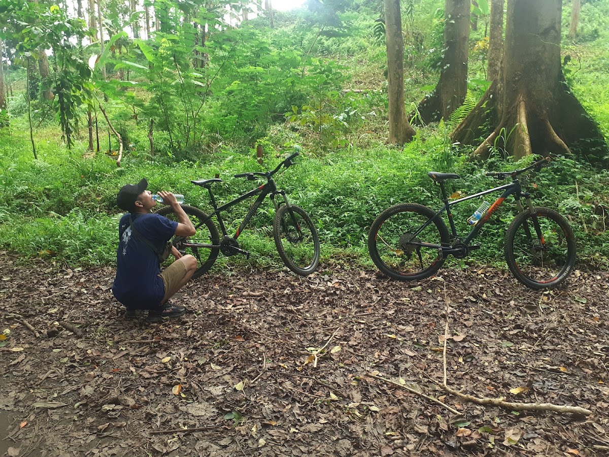 Hutan Rarung