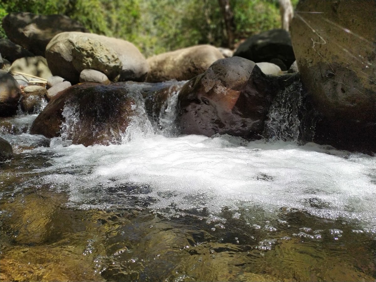 Wisata Alam Semongkat