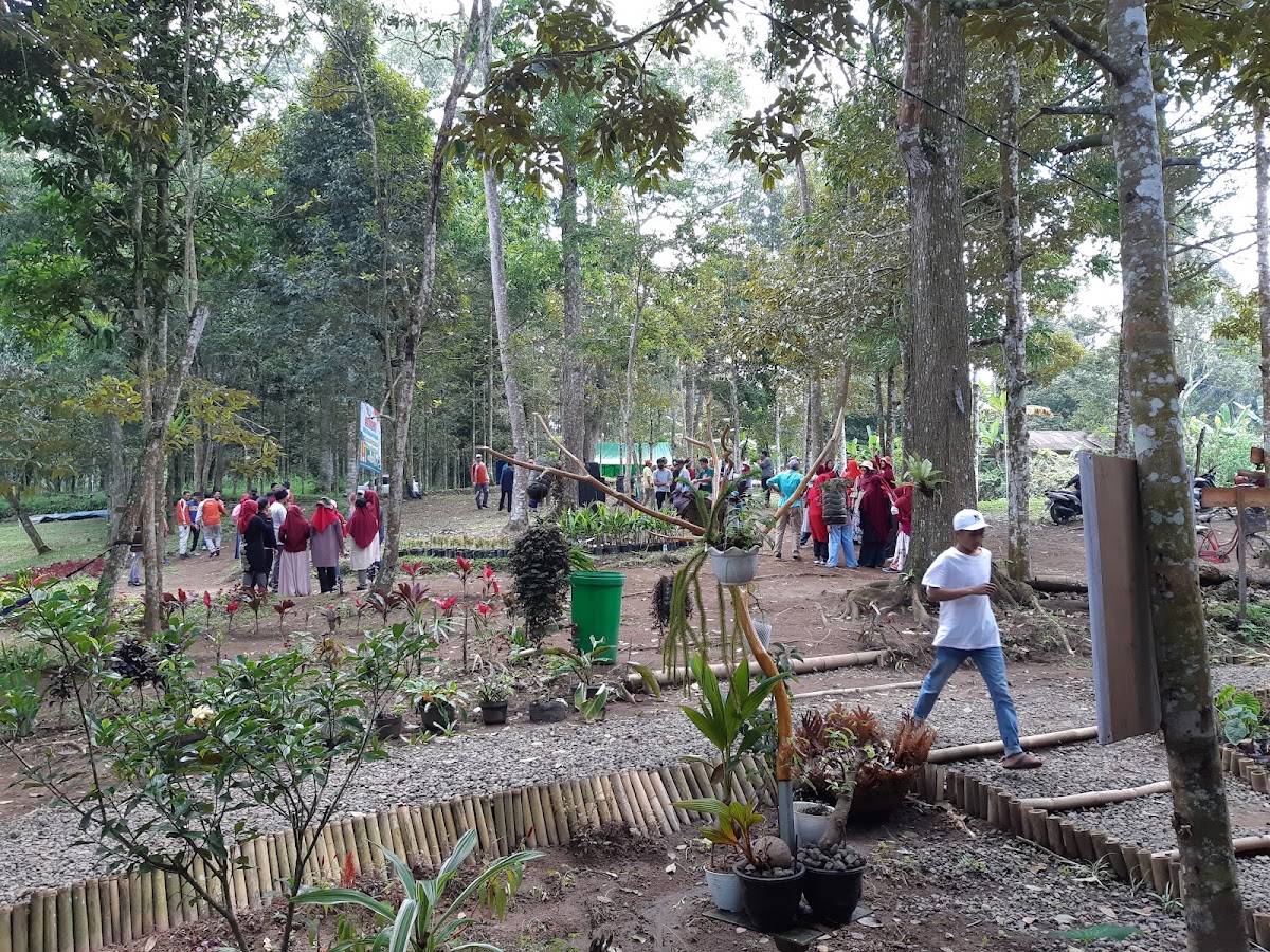 WISATA ALAM JOBEN EVERGREEN