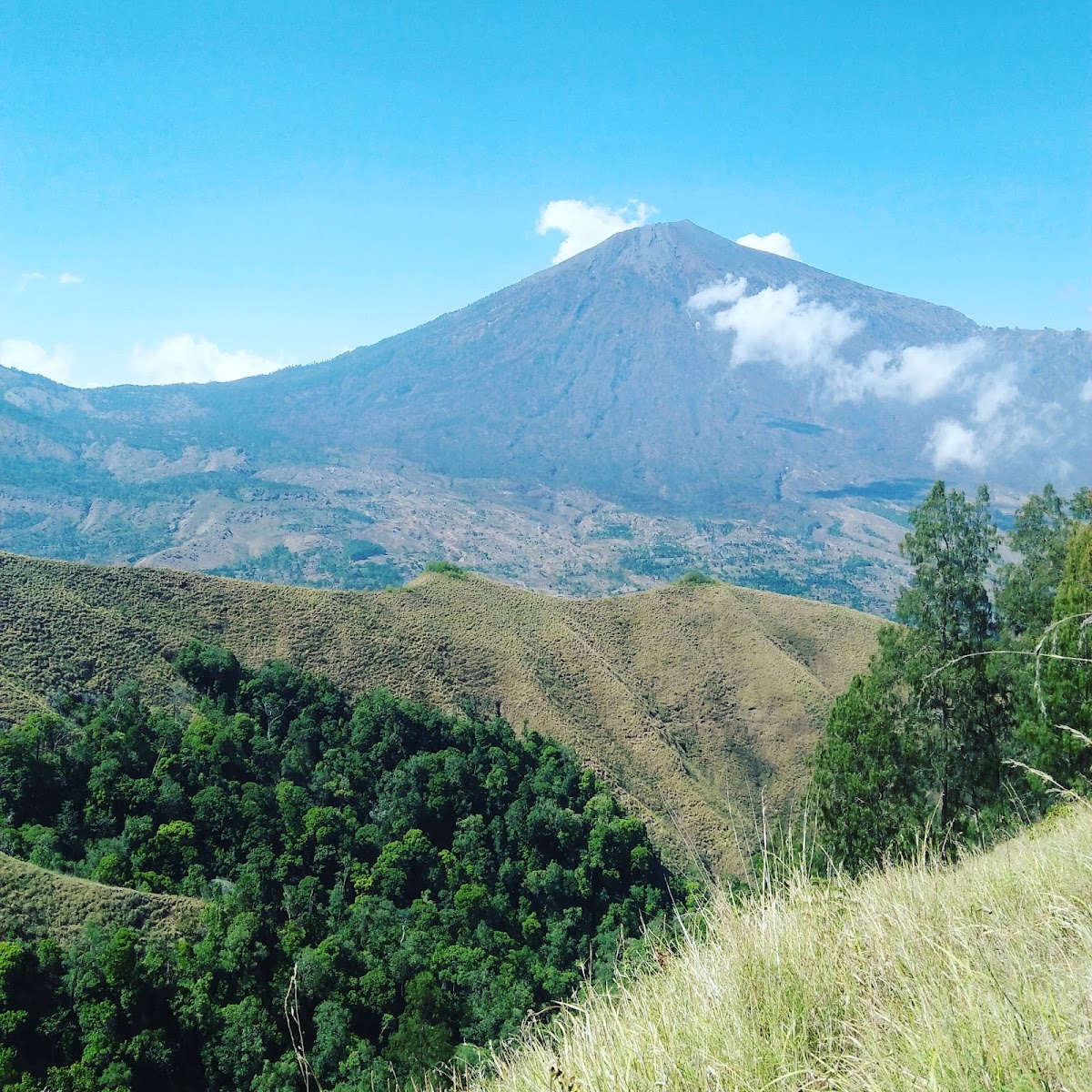 Jalur Pendakian Sajang