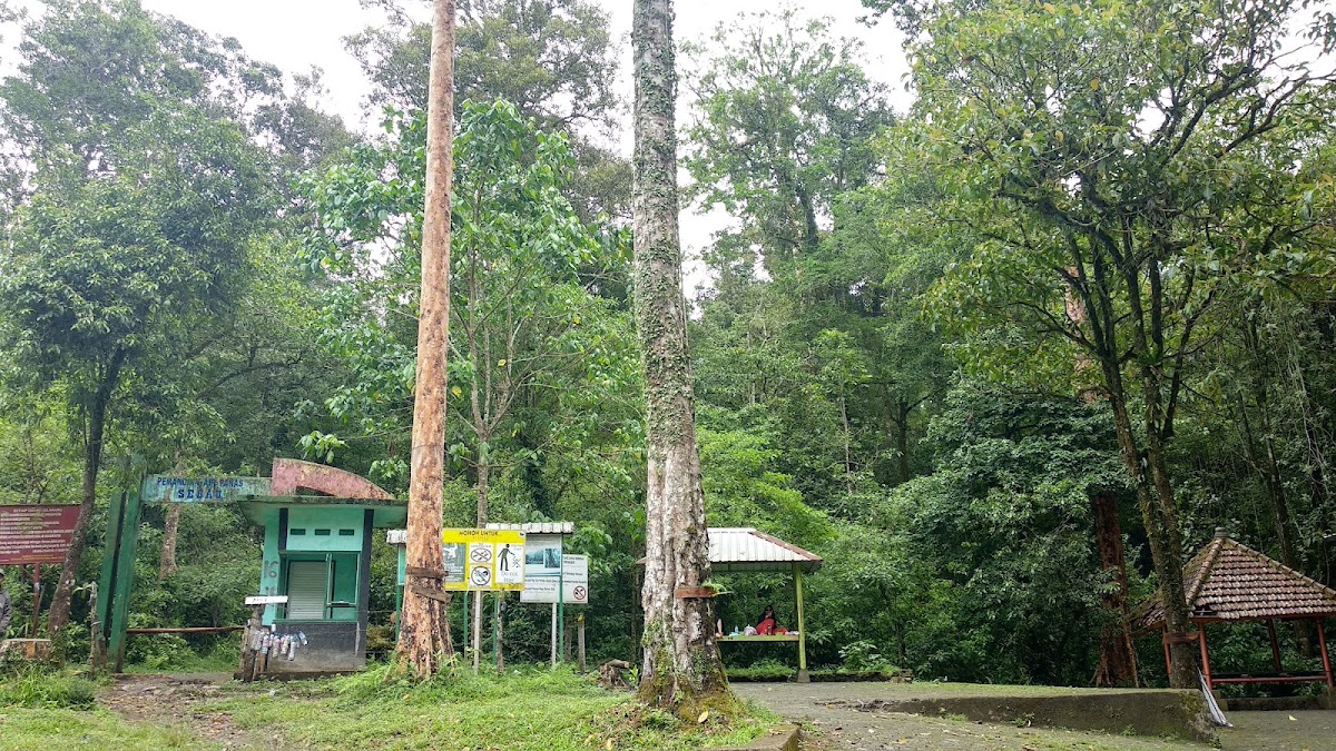 Pemandian Air Panas Sebau