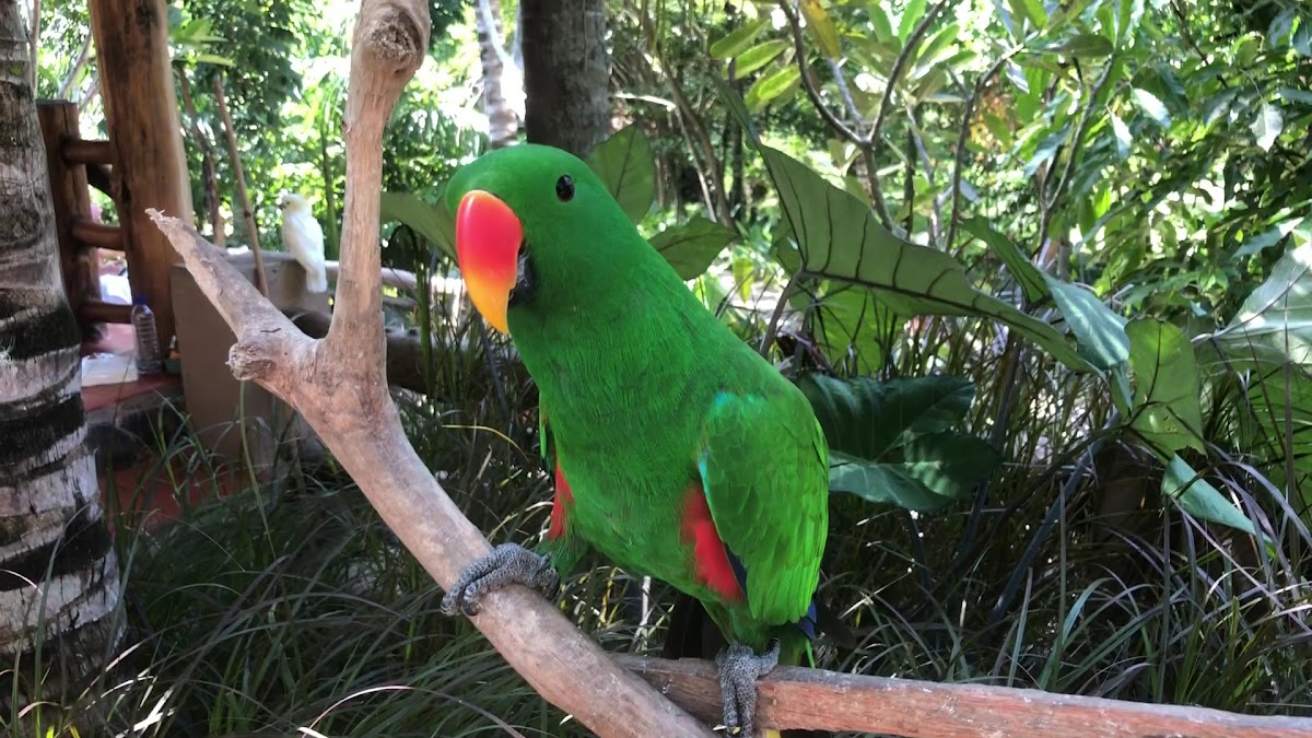 Lombok Wildlife Park