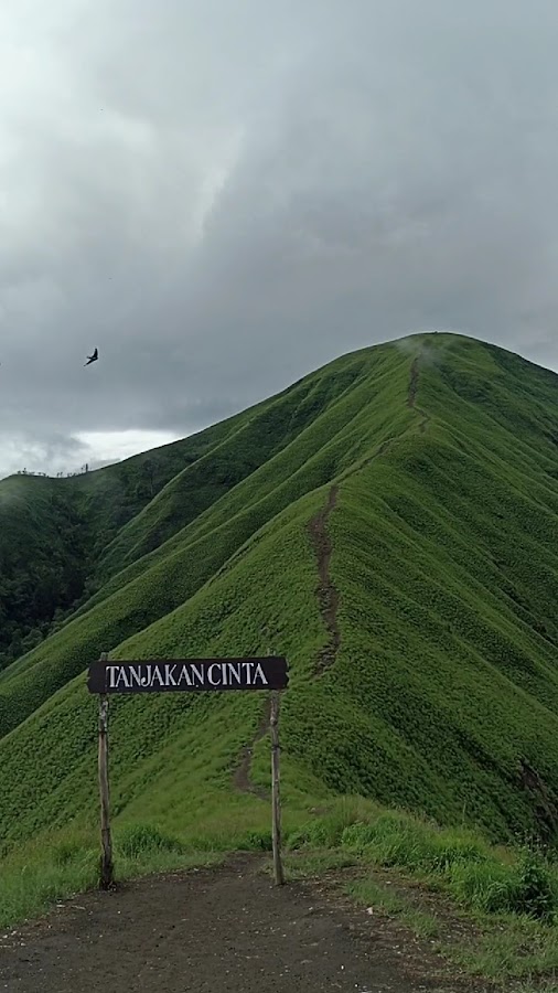 Sembalun Adventure