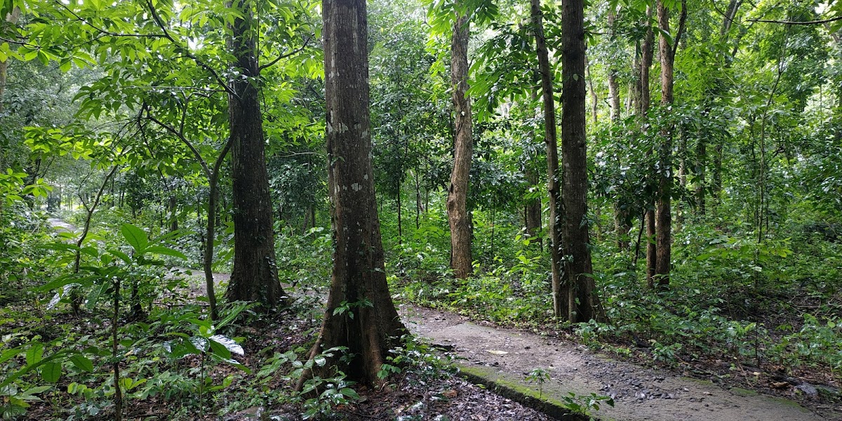 Taman Wisata Alam Kerandangan