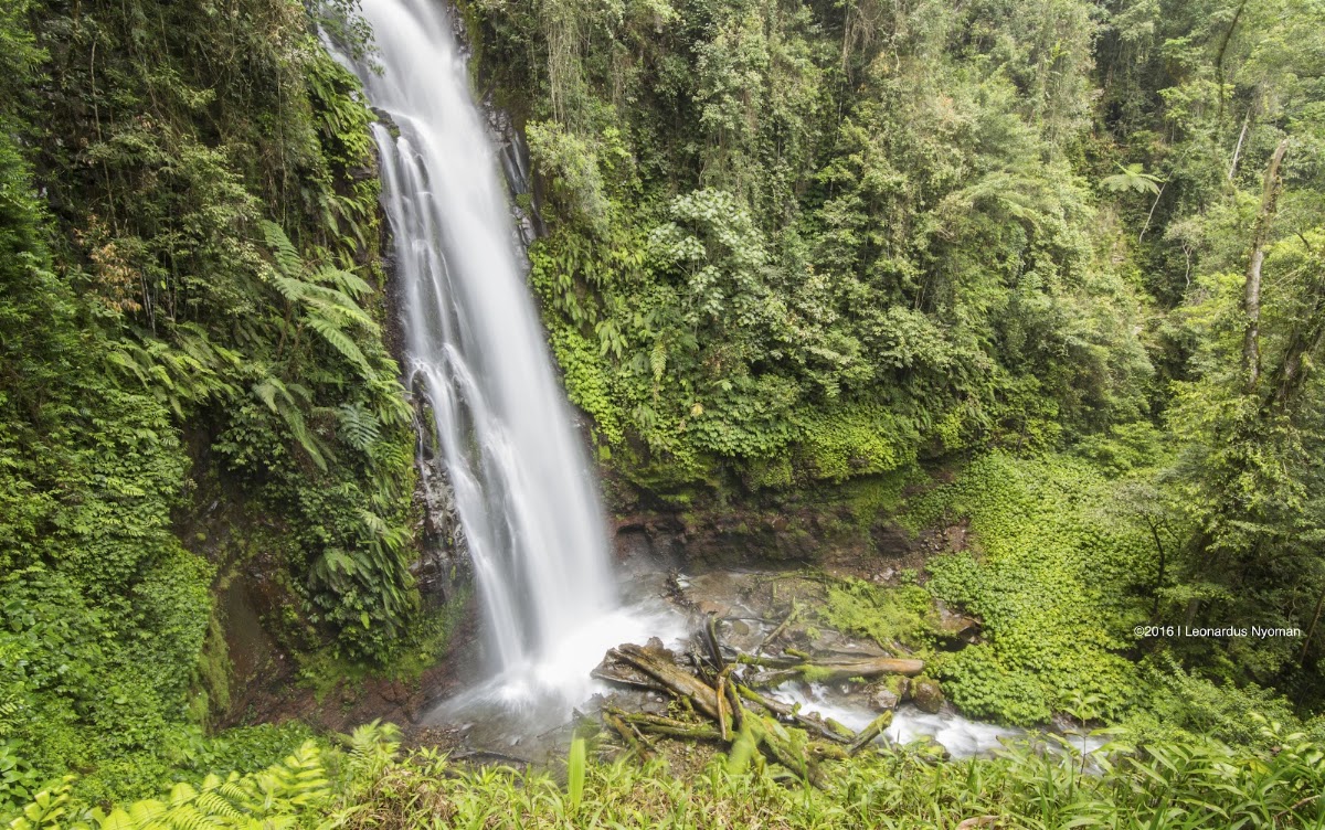 Air Terjun Cunca Rede
